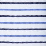 Blue and Black Stripe